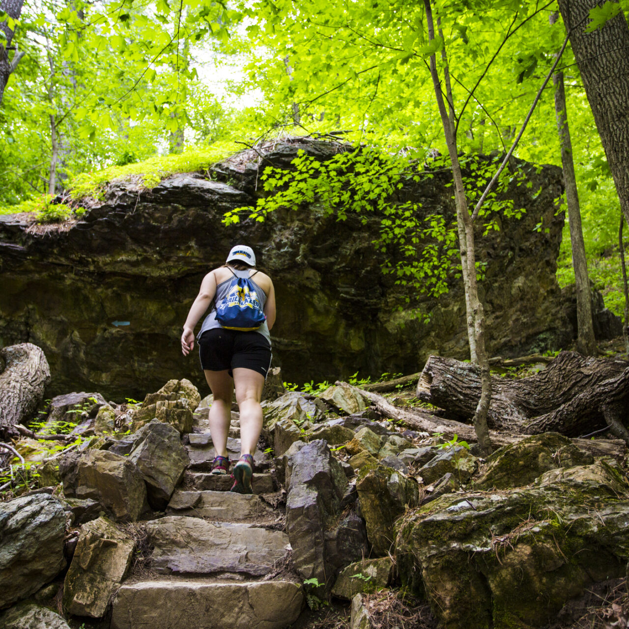 Person hiking up steps in lush woods.